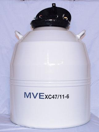 MVE XC 47/11-6